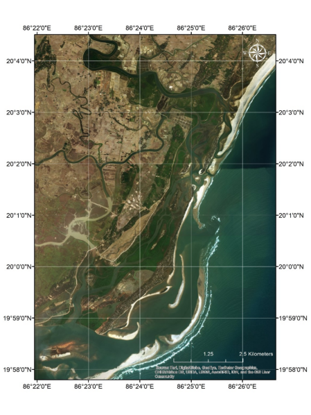 Devi Estuary Mangroves